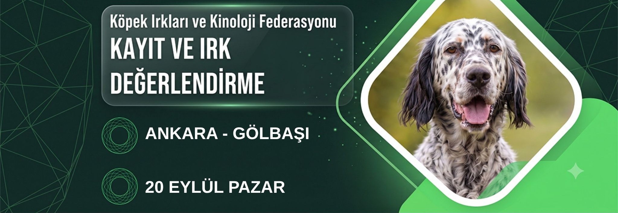 Ankara Gölbaşı Kayıt ve Irk Değerlendirme Etkinliği